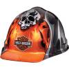 Head/Face Protection