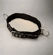 Body Belt W/2 Drings