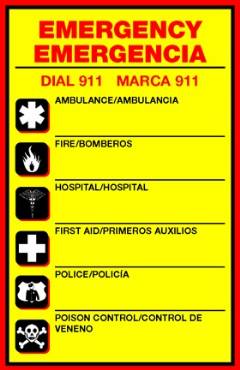 Emergency Numbers Poster