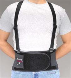 Economy Back Belt W/detach